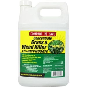 Compare-N-Save Grass and Weed Killer