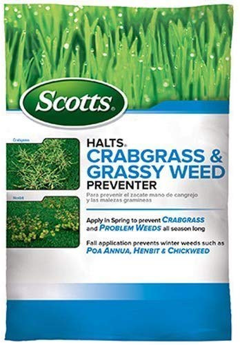 Best Weed Killer For Lawns