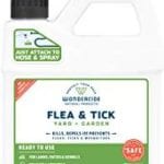 best mosquito killer