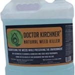 best weed killer
