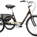 Raleigh Bikes Tristar 3-Speed Trike