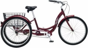 best tricycle for adults