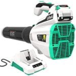 best cordless leaf blower for drying car