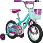 Schwinn Elm Girls Bike for Toddlers and Kids