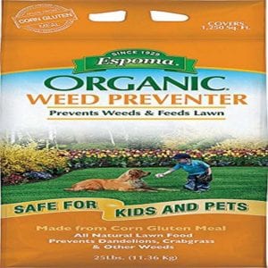 best weed killer for dandelions