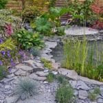 best plant ideas for water garden