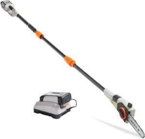 best pole saws