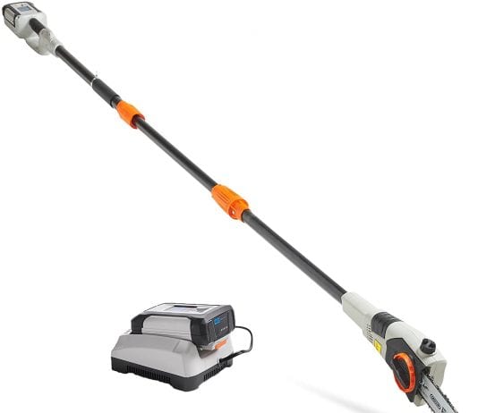 best pole saws