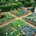 best raised garden ideas