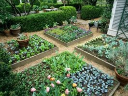 best raised garden ideas