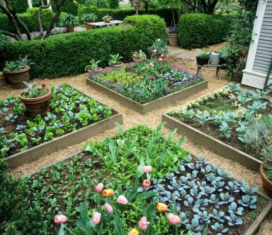 best raised garden ideas