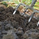 composted manure