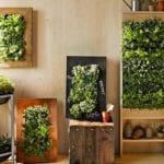 vertical garden