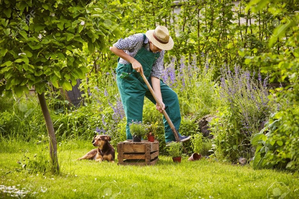 Benefits Of owning a garden