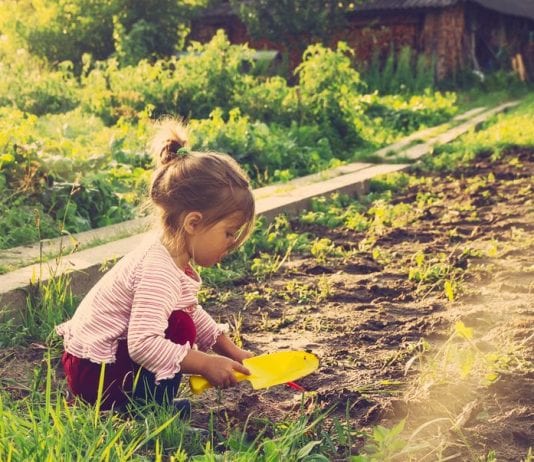 benefits of owning a garden