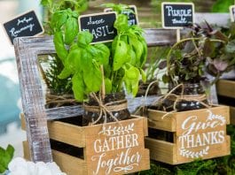 How to make plant labels in your garden