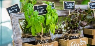 How to make plant labels in your garden