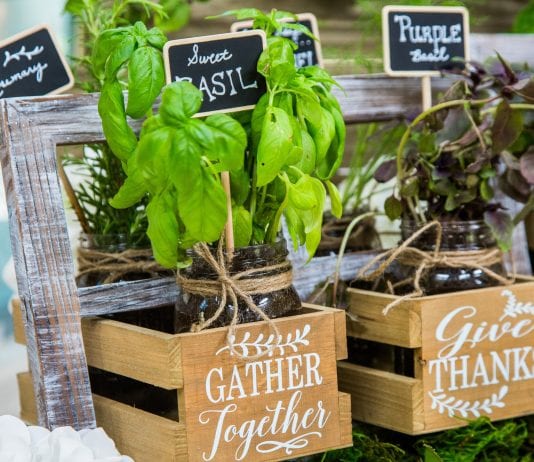 How to make plant labels in your garden
