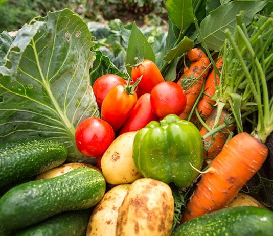 easy steps to obtaining great germination at all times