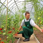 how to make gardening profitable
