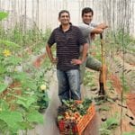 how to make gardening profitable image