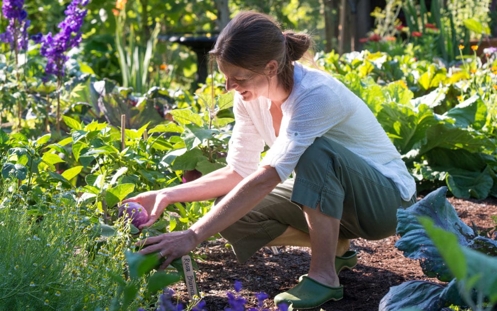 how to reach your gardening goals