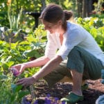 how to reach your gardening goals