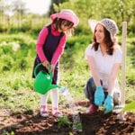how to reach your gardening goals image