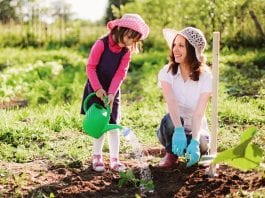 how to reach your gardening goals