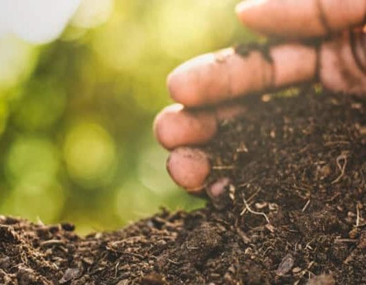how to use compost as soil amendment
