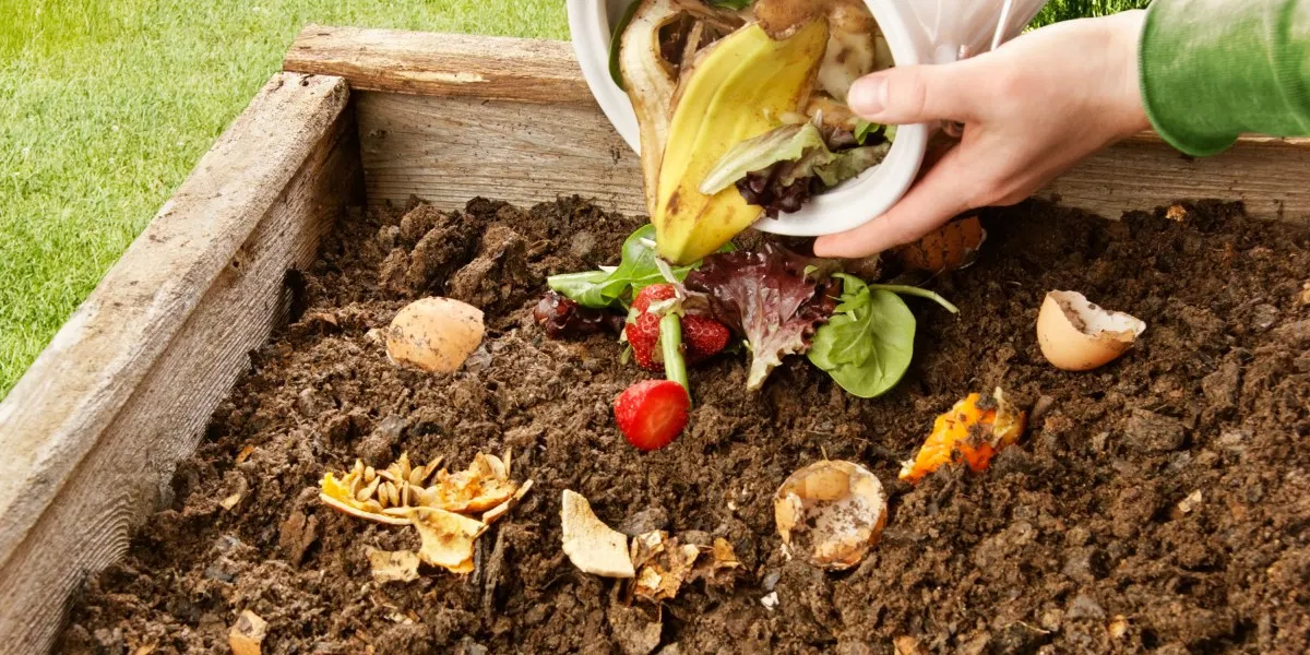 how to use compost as soil amendment image