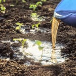 how to use soil drenches in gardens