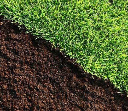 making a lawn more acidic