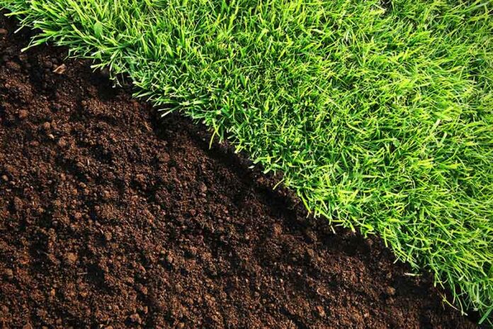 making a lawn more acidic