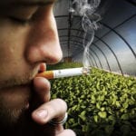 plants and cigarette smoke