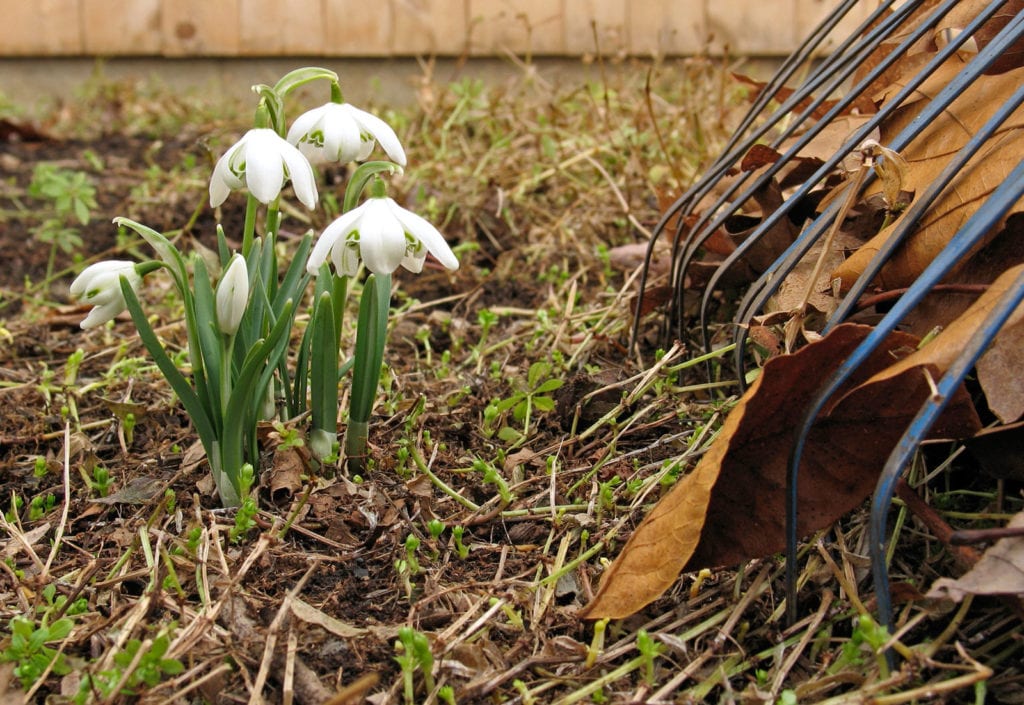 time for spring garden cleaning