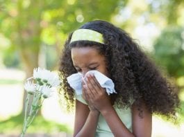 dealing with summer pollen plants