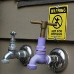 effects of graywater on plants