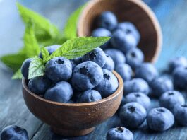 effects of pest damage on blueberries