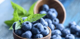 effects of pest damage on blueberries