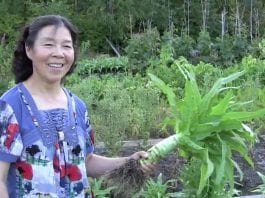 growing chinese vegetables in gardens