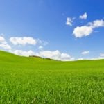 growing grass on slopes