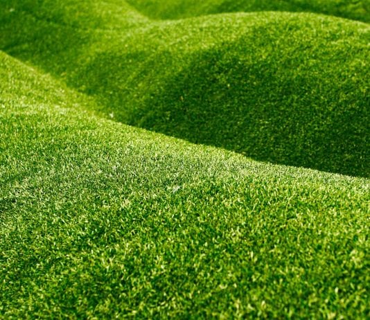 growing grass on slopes