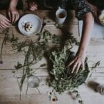 herb2