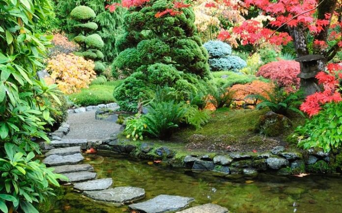 how to grow vegetables in a japanese garden