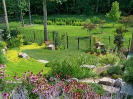 how to transform your backyard landscape