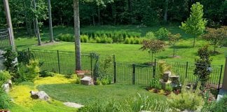 how to transform your backyard landscape