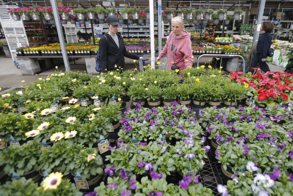 why you should shop at a local garden center