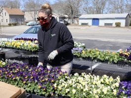 why you should shop at a local garden center