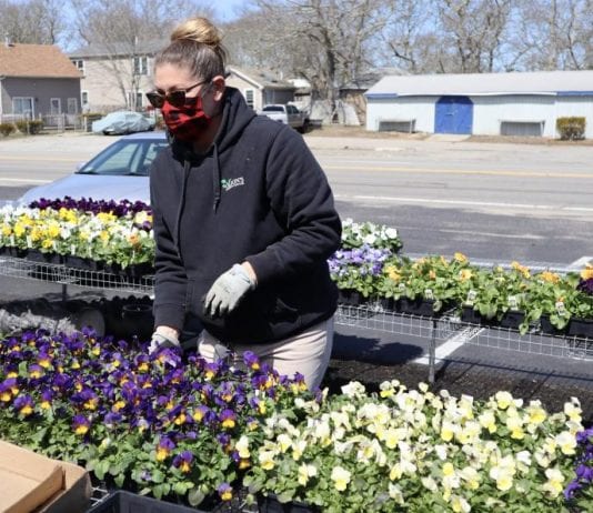 why you should shop at a local garden center